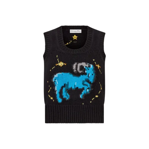 DIOR Черные Женские Жилеты