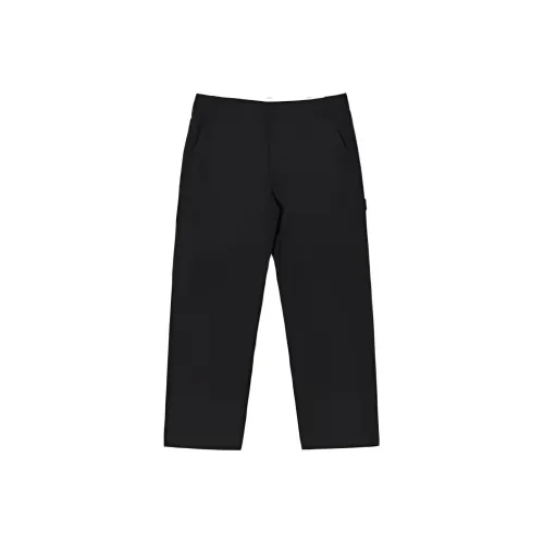 Dickies Повседневные брюки Женские Черный