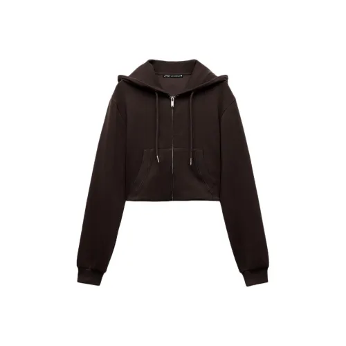 ZARA Коричневый Женские Свитшоты