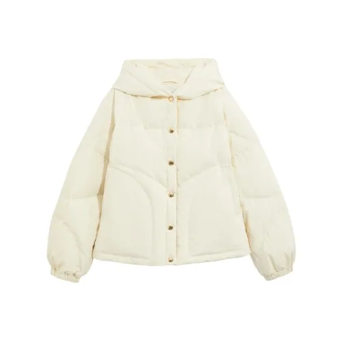 BEBE Пуховик Женский Бежевый Желтый