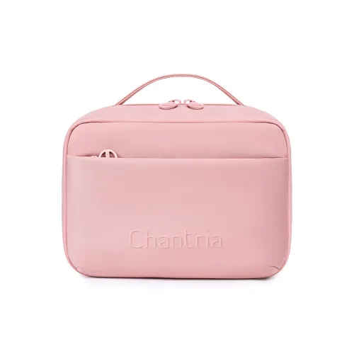 Chantria Нейлон Клатч Сумка Стандартная Женская Многоцветная