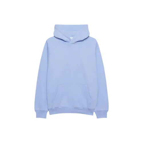 Aritzia Cozy Sweatfleece Mega RaglanTM Толстовка Толстовка Женские Dayflower Синий Duckweed Синий