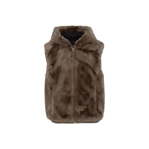 Moose Knuckles Жилет Женские Коричневый