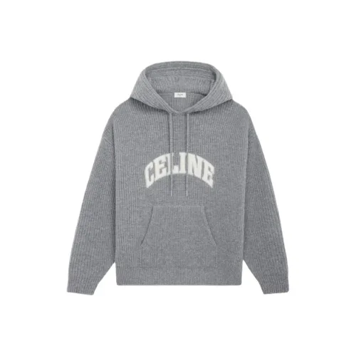 CELINE Серые Мужские Свитера