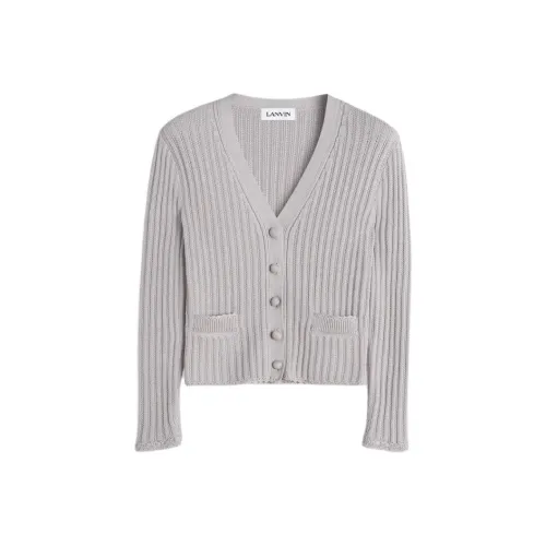 Lanvin SS25 Трикотаж Женский Серый