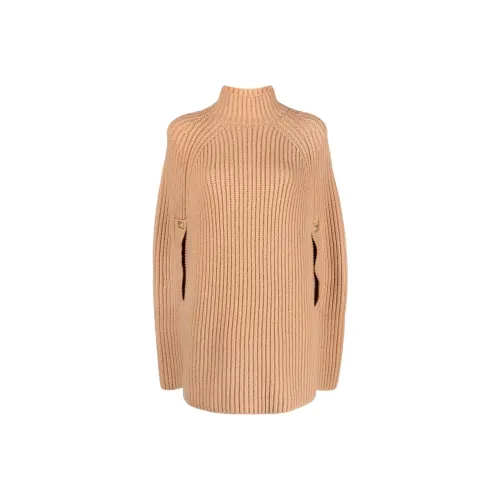 Elisabetta Franchi Коричневый Женские Плащи