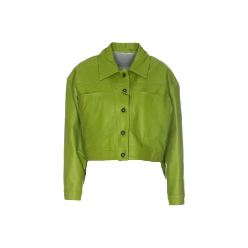 SALVATORE SANTORO Зеленое Женское Короткое Пальто