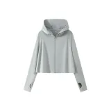 Ледниковый серый