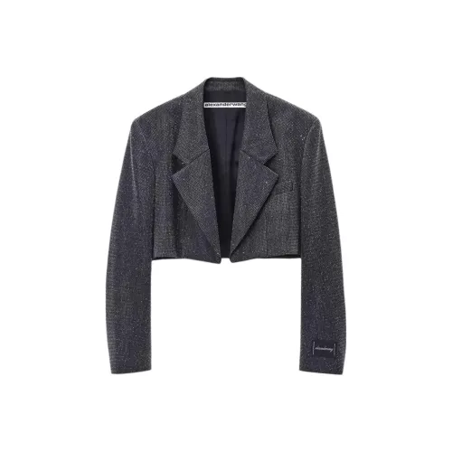 Alexander Wang FW24 Бизнес-костюм женский угольно-серый