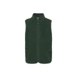 Скарабей/Священный Жук Цвет