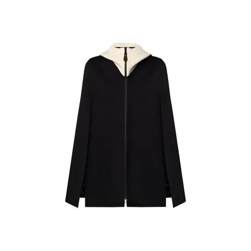 LOUIS VUITTON SKI Skiing Series FW24 Плащ Женский Черный Белый