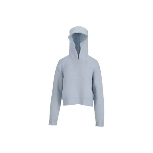 PALM ANGELS Трикотаж Женский Светло-Синий