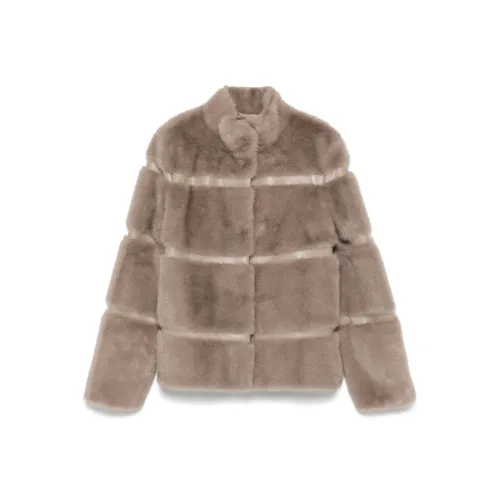 Twinset Тауповый Женские меховые изделия