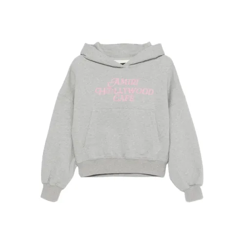 AMIRI SS25 Свитшот Женский Серый