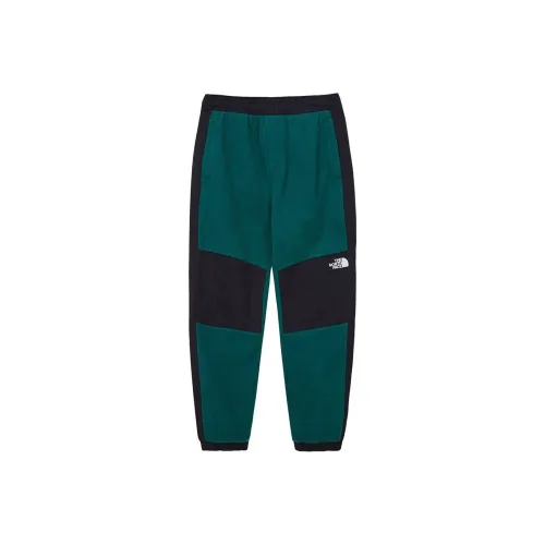 THE NORTH FACE MADERA Повседневные брюки Женские Зеленые