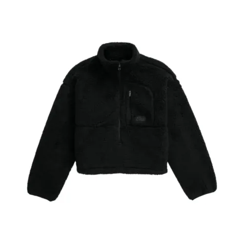 THE NORTH FACE Женские Extreme PILE Пуловер 2 Бархат feel Пальто Женские Черный