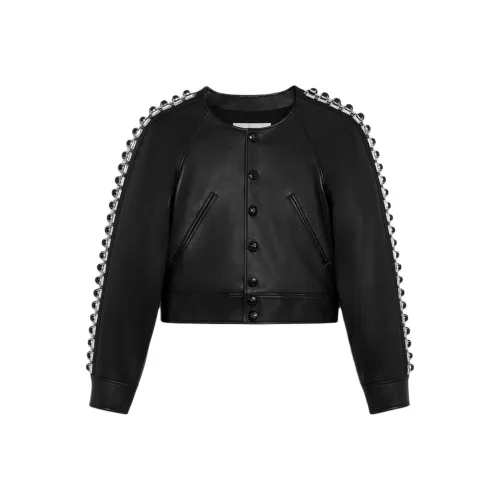 CELINE FW24 Кожа Куртка Женская Черная