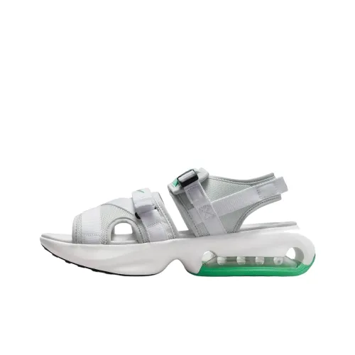 Nike Air Max SOL Пляжные сандалии Мужские Серые