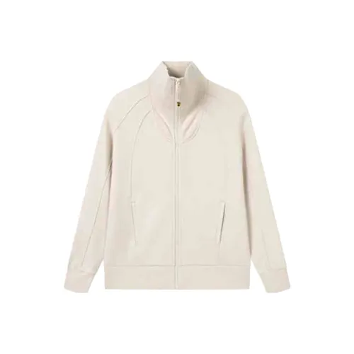 361° Свитшот Женский Прозрачный Туманный Коричневый