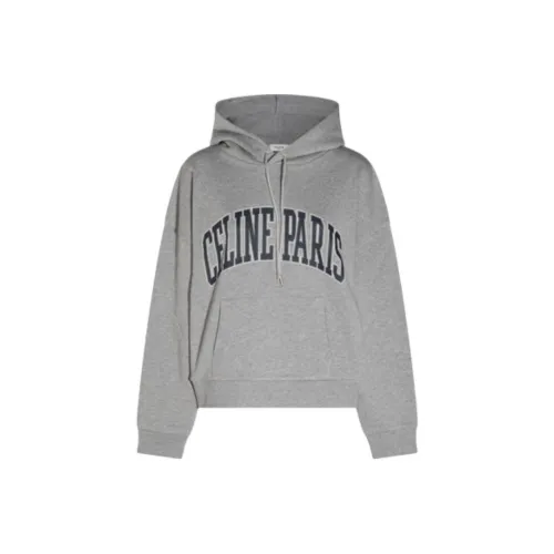 CELINE SS25 Толстовка Женская Серого цвета