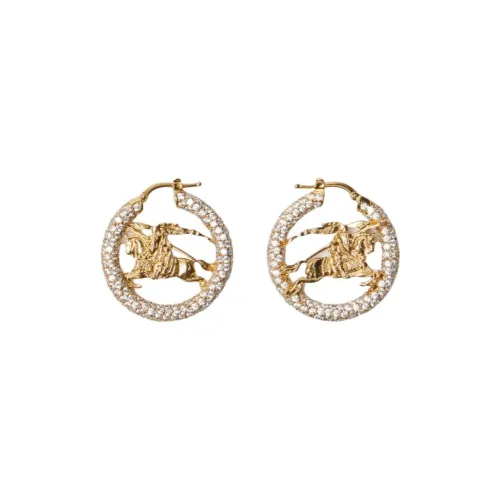 Burberry Серьги Унисекс