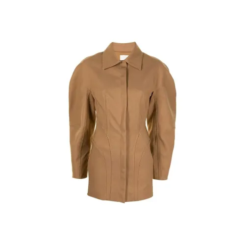 DION LEE Коричневый Женские Длинные Платья с Рукавами