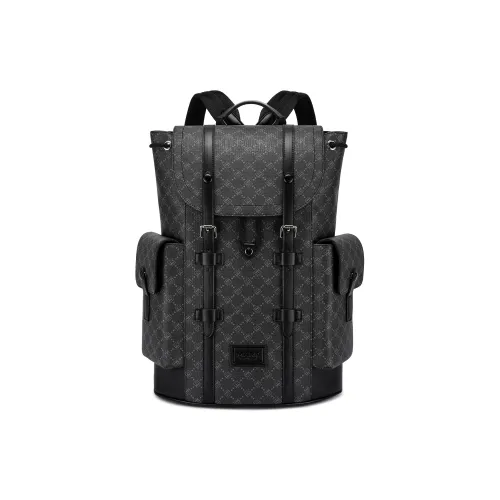 FAIRWHALE ПВХ Рюкзак Ноутбук Сумка Стандартная Мужская Многоцветная