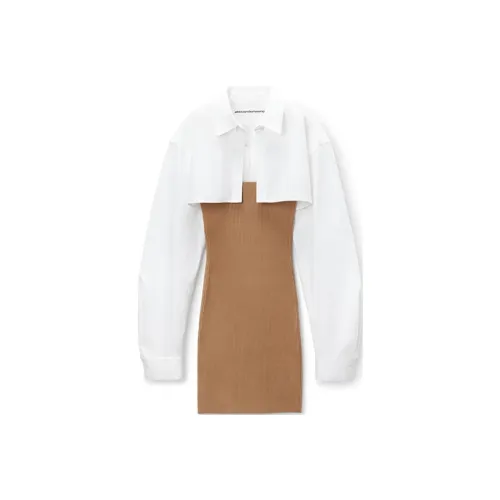 Alexander Wang FW24 Длинное платье с длинными рукавами женское цвет КАМЕЛ