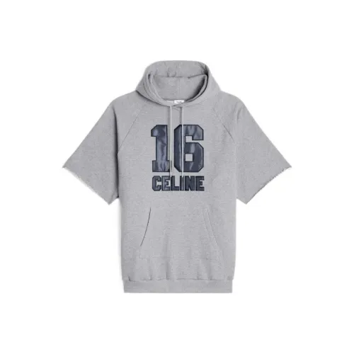 CELINE Серый Женские Короткие Платья с Рукавами