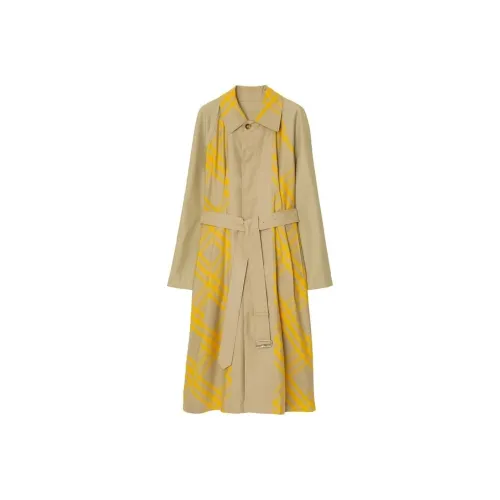 Burberry Серый Мужской Тренч