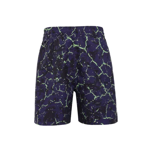 Nike ACG Повседневные шорты Женские Ink Purple