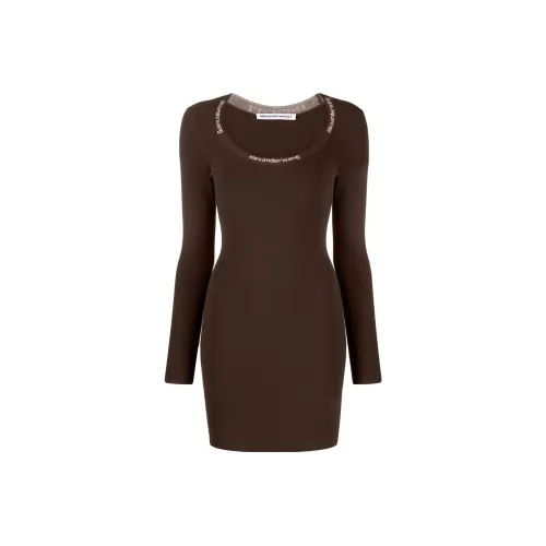 alexander wang Коричневый Женские Длинные Платья с Рукавами