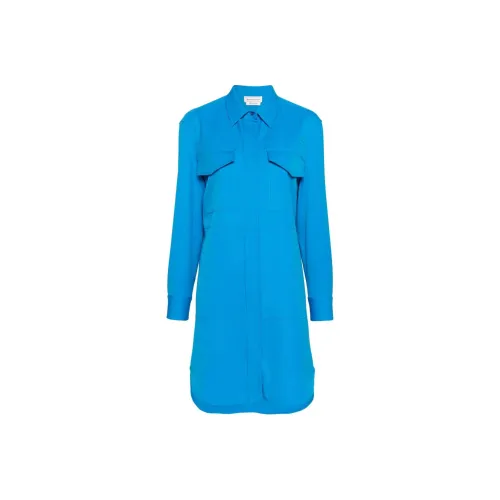 Alexander McQueen Длинное платье с длинными рукавами женское небесно-голубого цвета