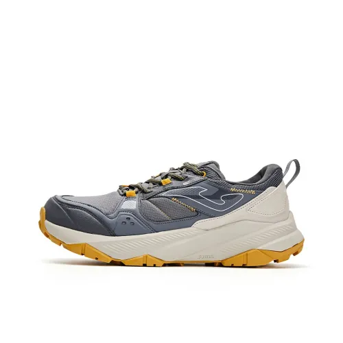 Joma Беговые кроссовки Low Top Серые Мужские