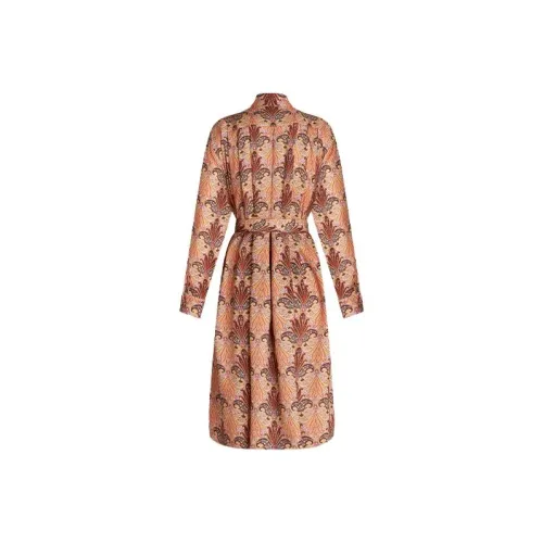 ETRO Коричневый Женские Длинные Платья с Рукавами