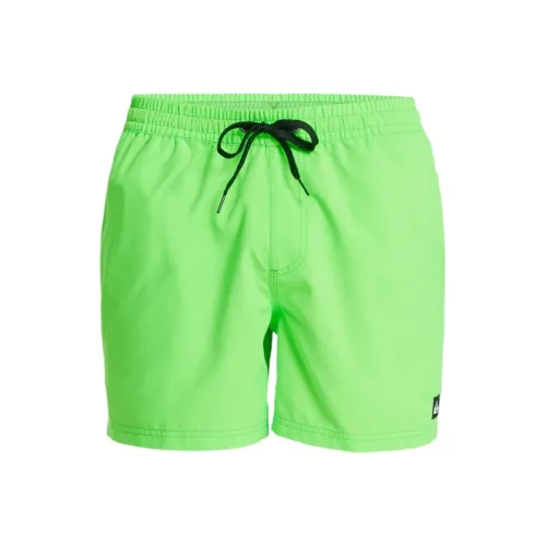 Quiksilver Зеленые Мужские Пляжные Шорты