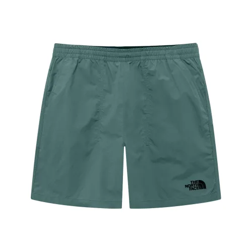 The North Face Повседневные шорты Унисекс Сосновый зеленый