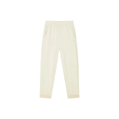 361° Variety Тренировки Коллекция Вязаные Тренировочные брюки Женские Белые Сосновое дерево Цвет