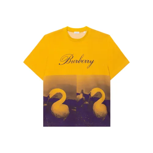 Burberry Зеленые Мужские T-рубашки