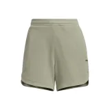 Земляной умбровый