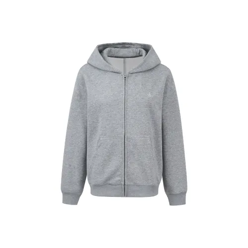 Ariseism Однотонный худи пальто + шорты двухкомпонентный комплект осенний и зимний новинка женский