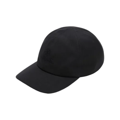 Loro Piana Кепки Мужские