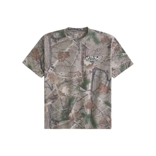 Hollister Коричневые Мужские T-рубашки