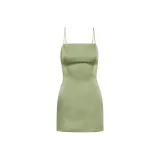 Шалфейный Иней