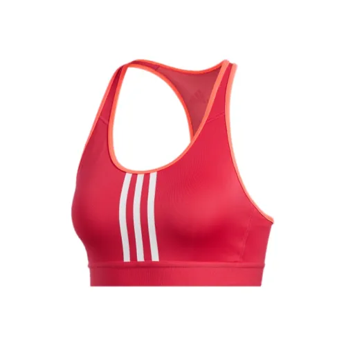 Adidas Energy Пудра Женское спортивное белье