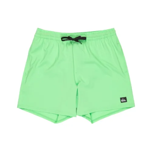 Quiksilver Зеленые Мужские Пляжные Шорты