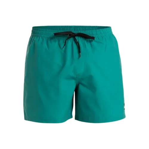 Quiksilver Зеленые Мужские Пляжные Шорты