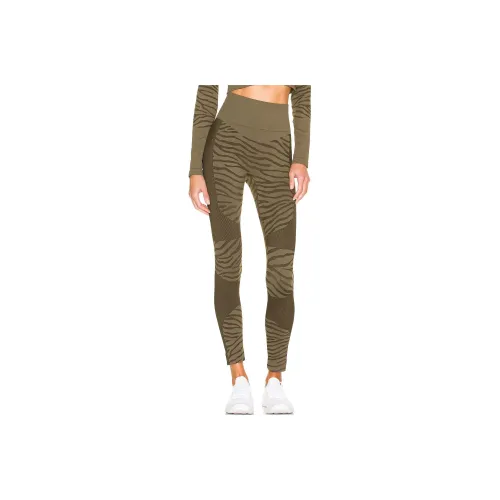 Adidas Stella McCartney Collaboration ASMC TPR Revolve Leggings Женские Зеленые Коричневые