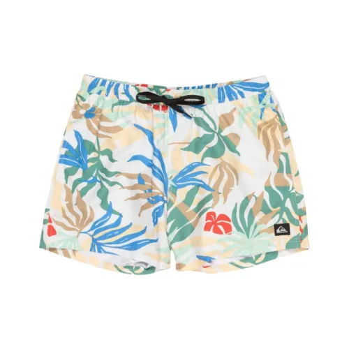Quiksilver Многоцветные Мужские Плавательные Шорты