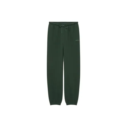 ARITZIA Sweatfleece Cozy Флис Mega FlutterTM Jogger Вязаные Тренировочные брюки Женские Scarab Scarab